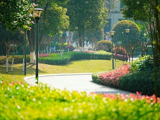 花园式美丽医院