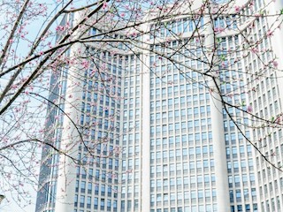 花园式美丽医院